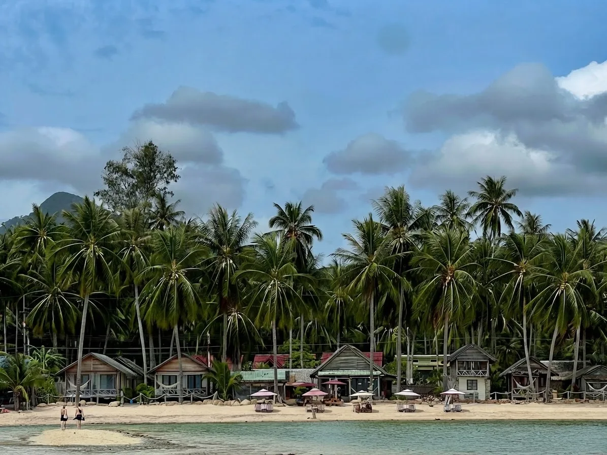 Coconut roads
